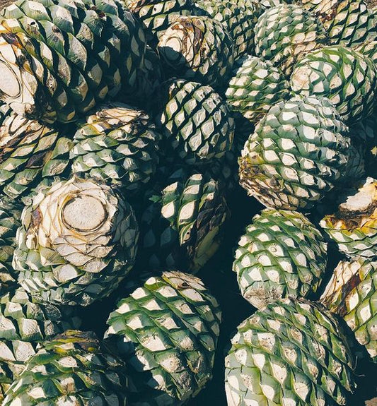 What is Mezcal: Exploring the spirit of Mexico