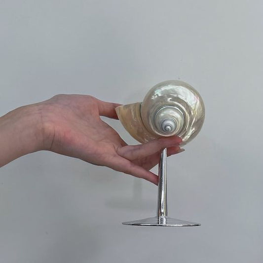 Conch Shell Wine or Cocktail Glass: Silver Stem