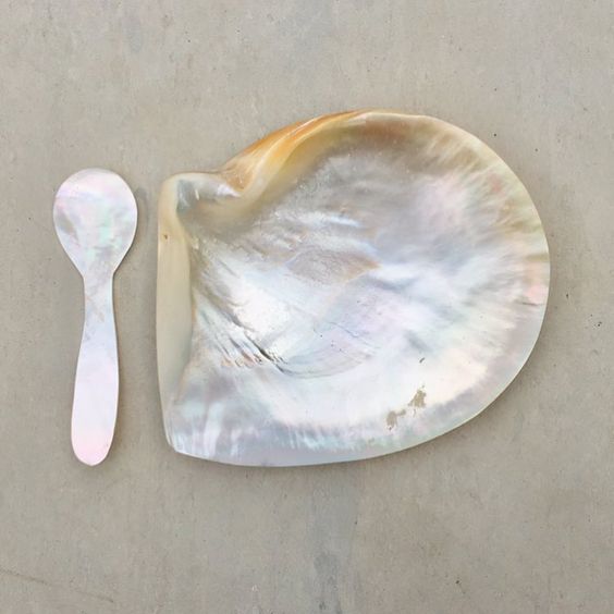 Saltist Mother of Pearl Spoon