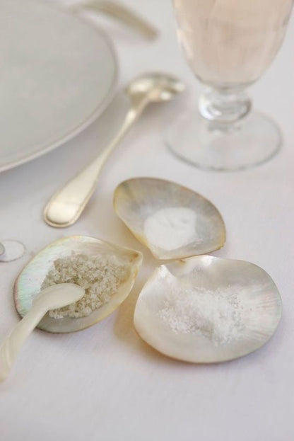 Saltist Mother of Pearl Spoon