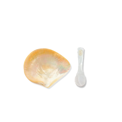 Saltist Mother of Pearl Spoon