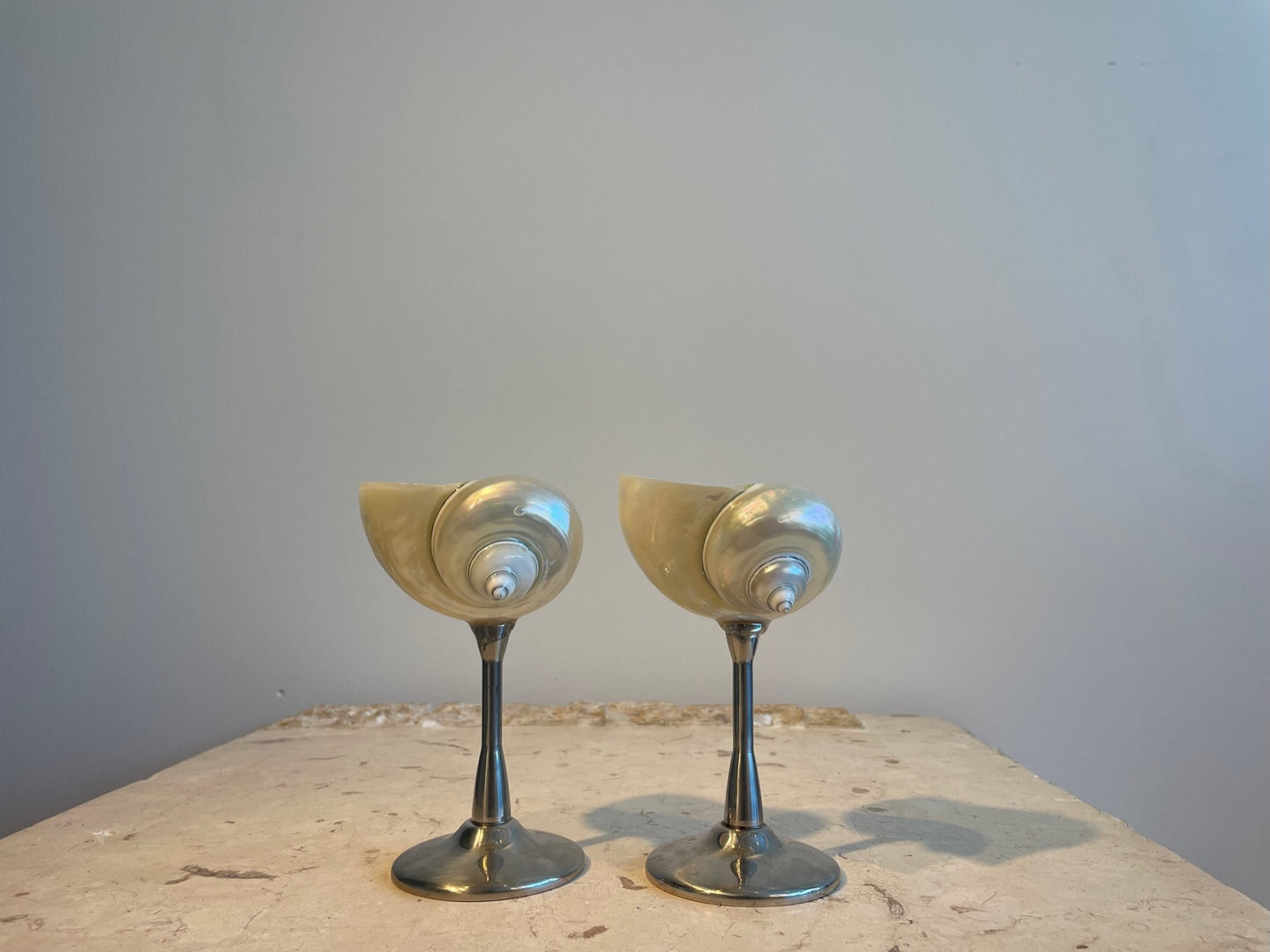 Conch Shell Wine or Cocktail Glass: Silver Stem