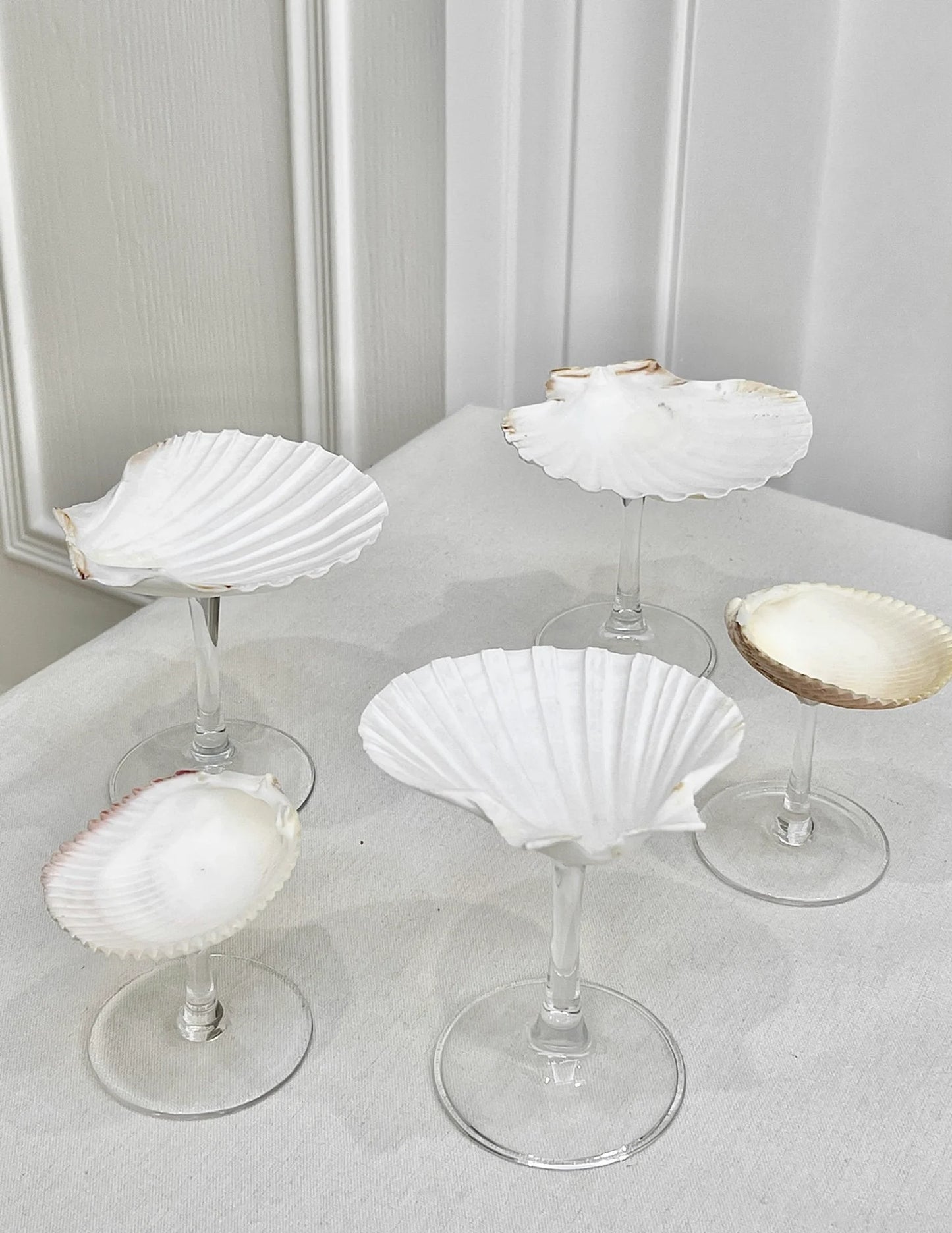 The Seaside Sipping Set: Shell Cocktail Glass Bundle