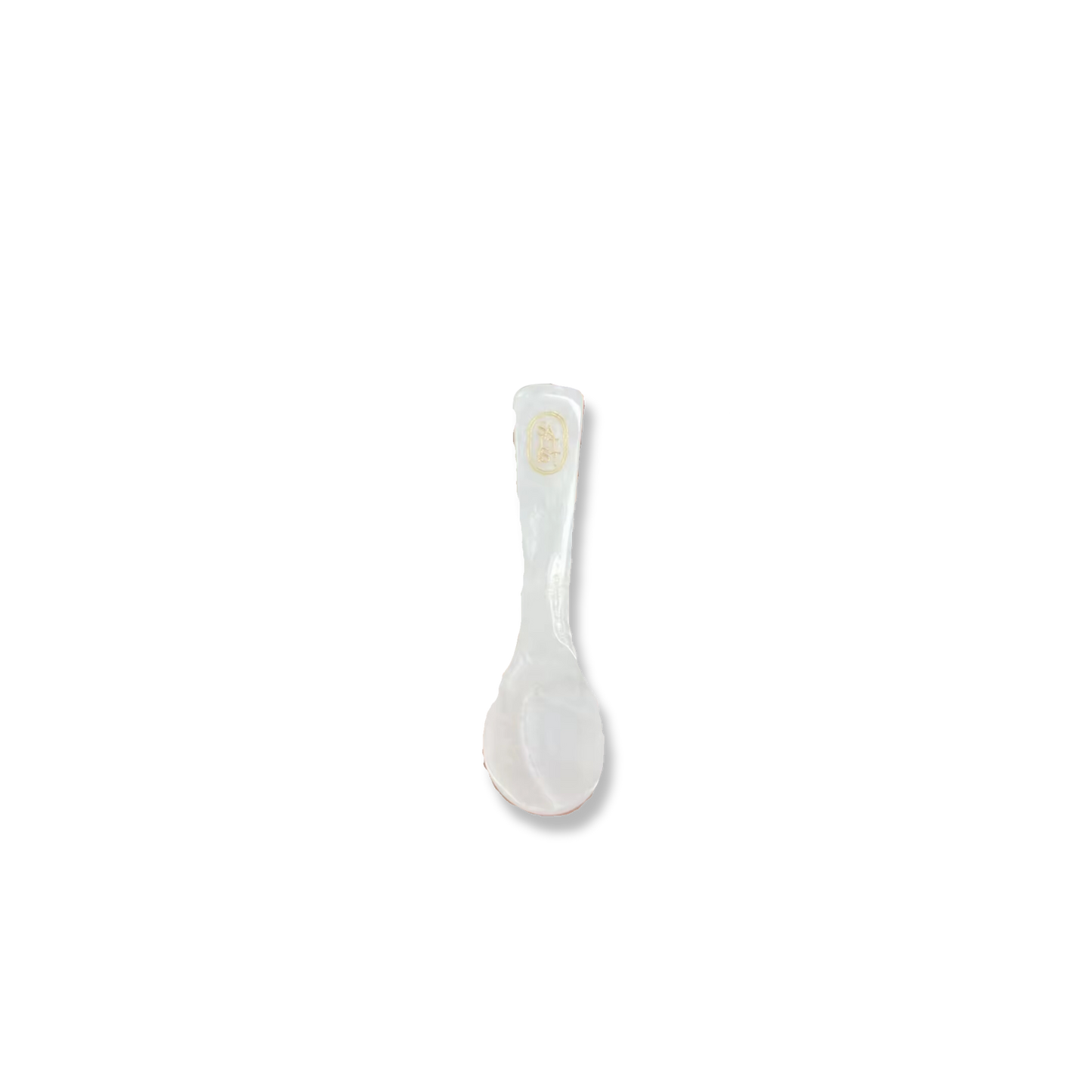 Saltist Mother of Pearl Spoon