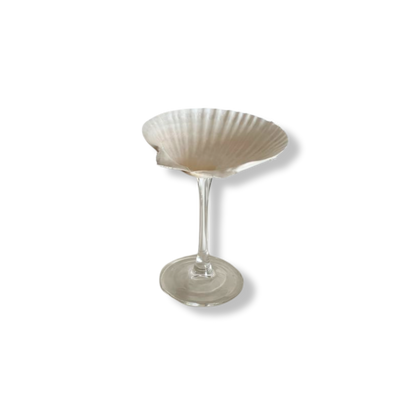 Sea Shell Cocktail Glass